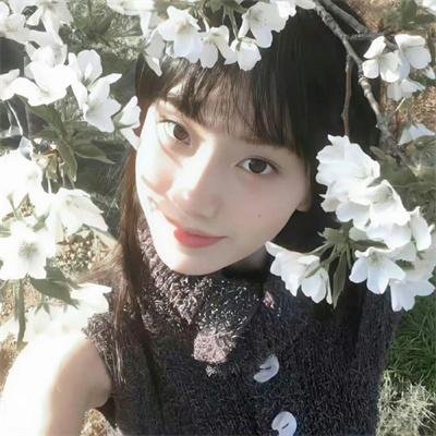 警察与女兵国语 封面